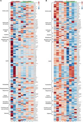 Integrated Metabolomics-DNA Methylation Analysis Reveals Significant Long-Term Tissue-Dependent Directional Alterations in Aminoacyl-tRNA Biosynthesis in the Left Ventricle of the Heart and Hippocampus Following Proton Irradiation